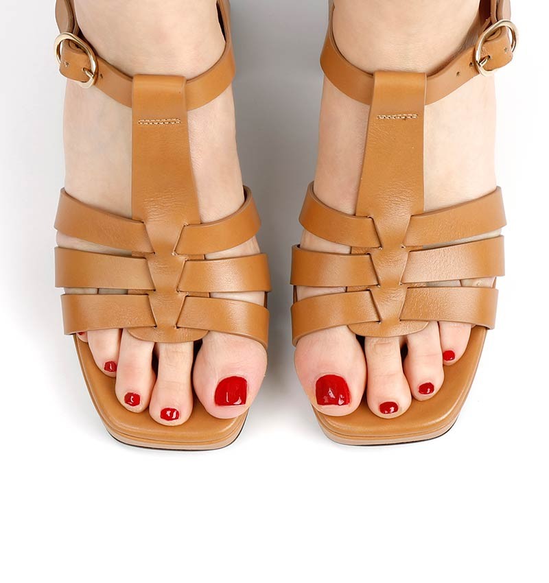 ga-paxi-brown