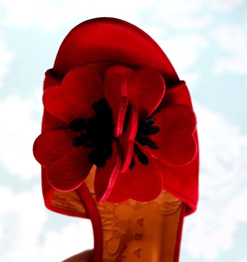 bri-kaski-red