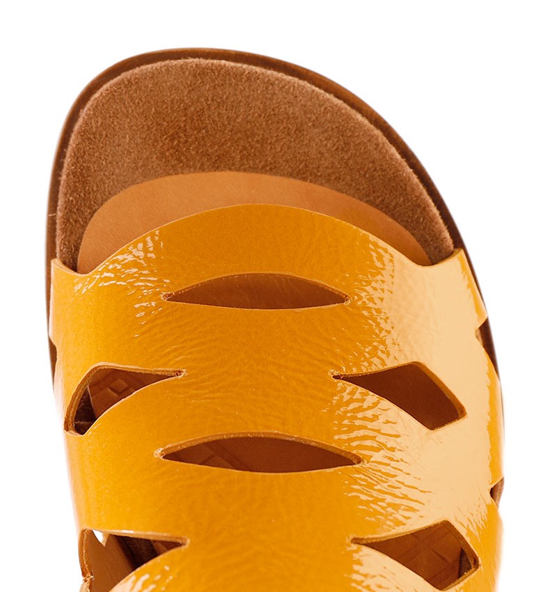 wa-lorida-yellow