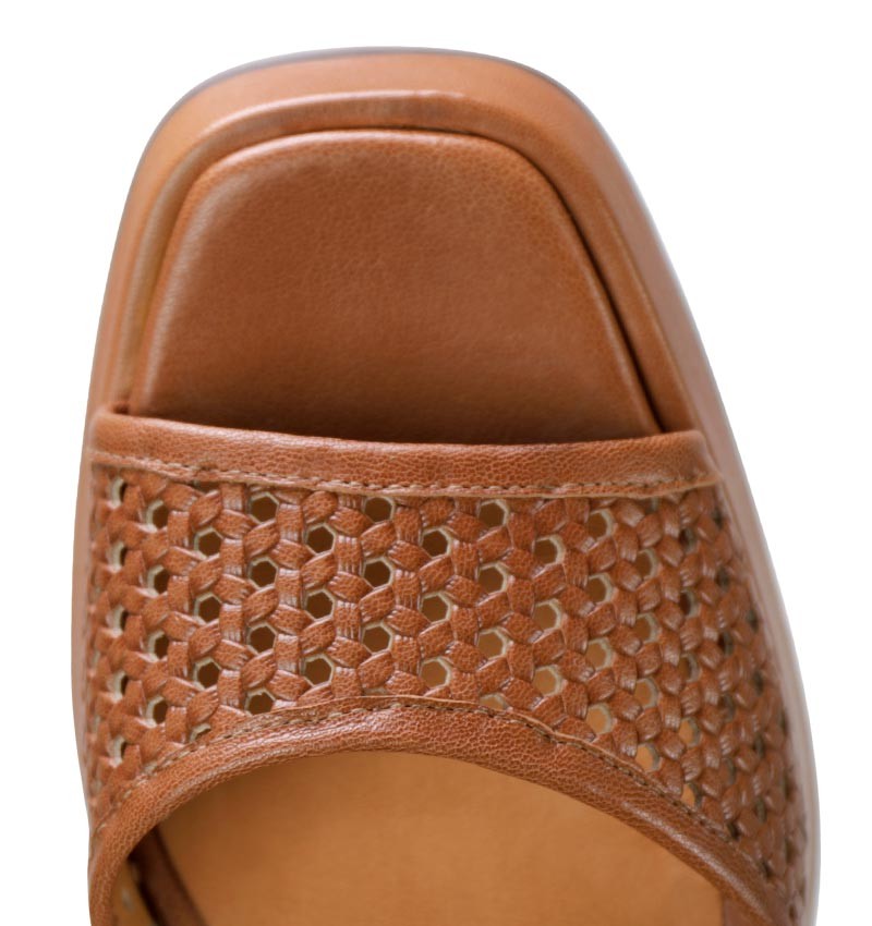 neit-brown