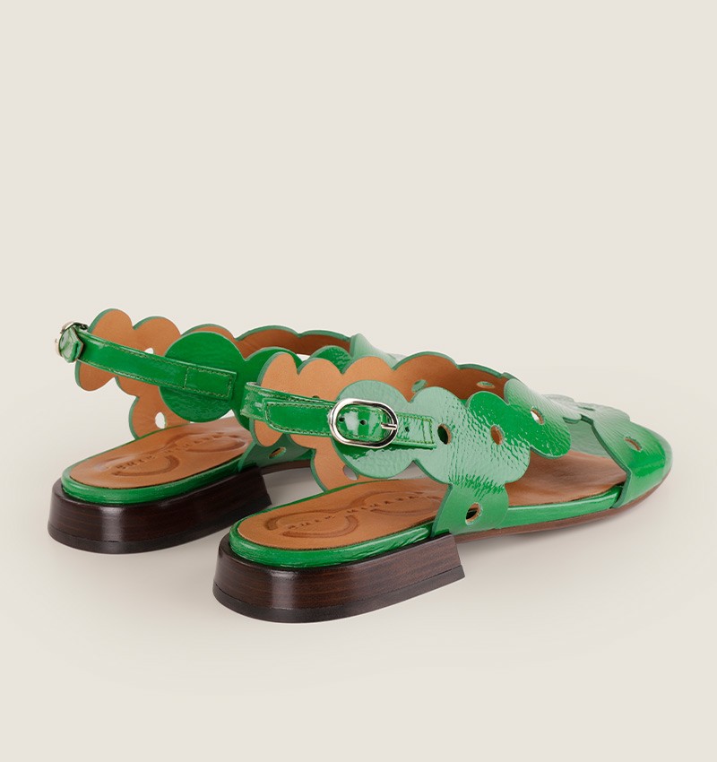 tuide-green