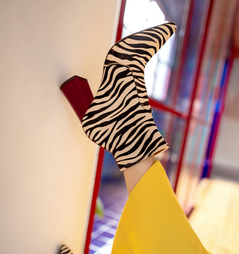 londa-zebra